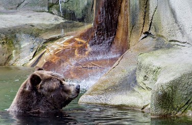 3 Cleveland Zoo 805 x 453