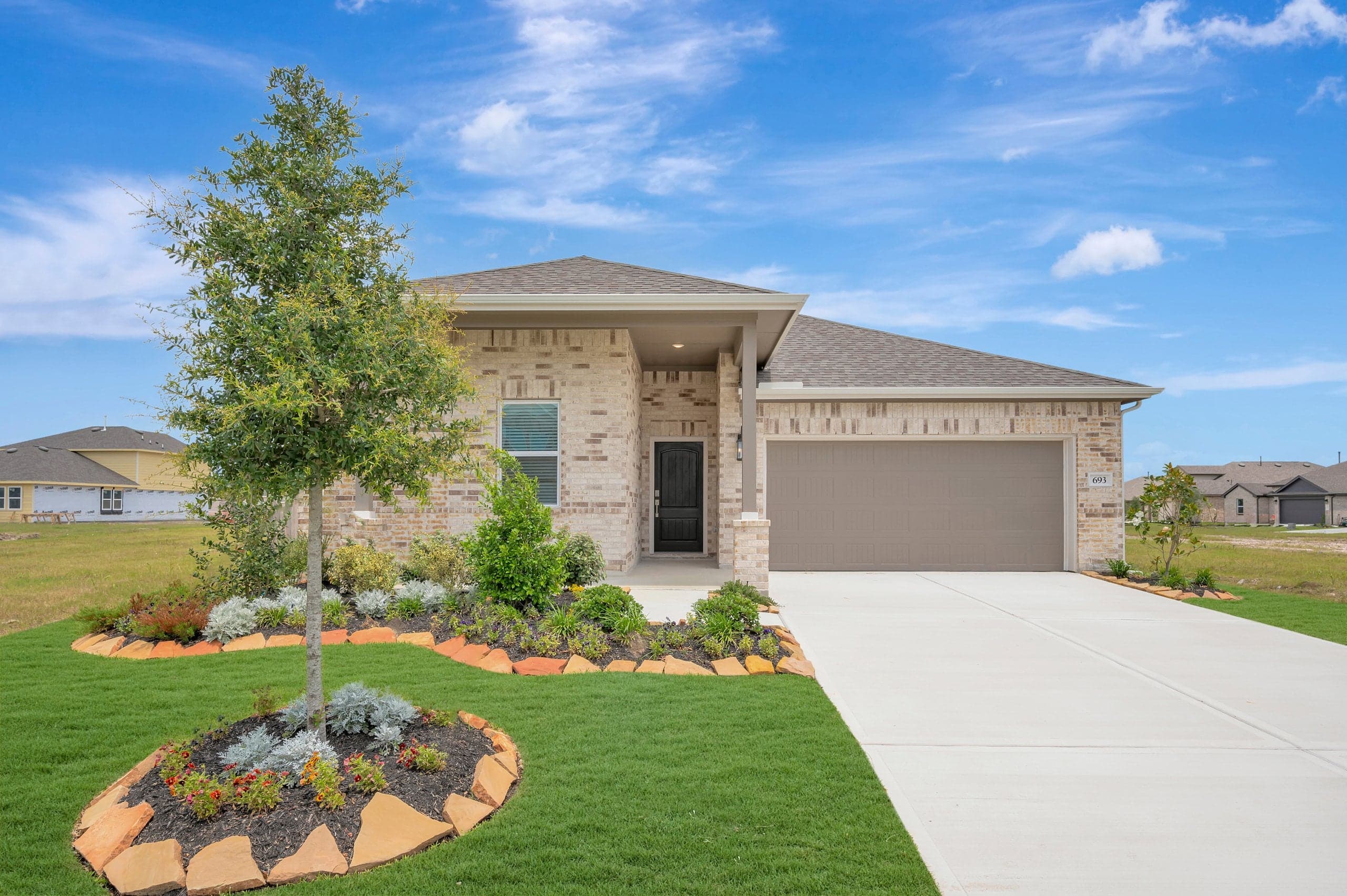 Goldenrod TA