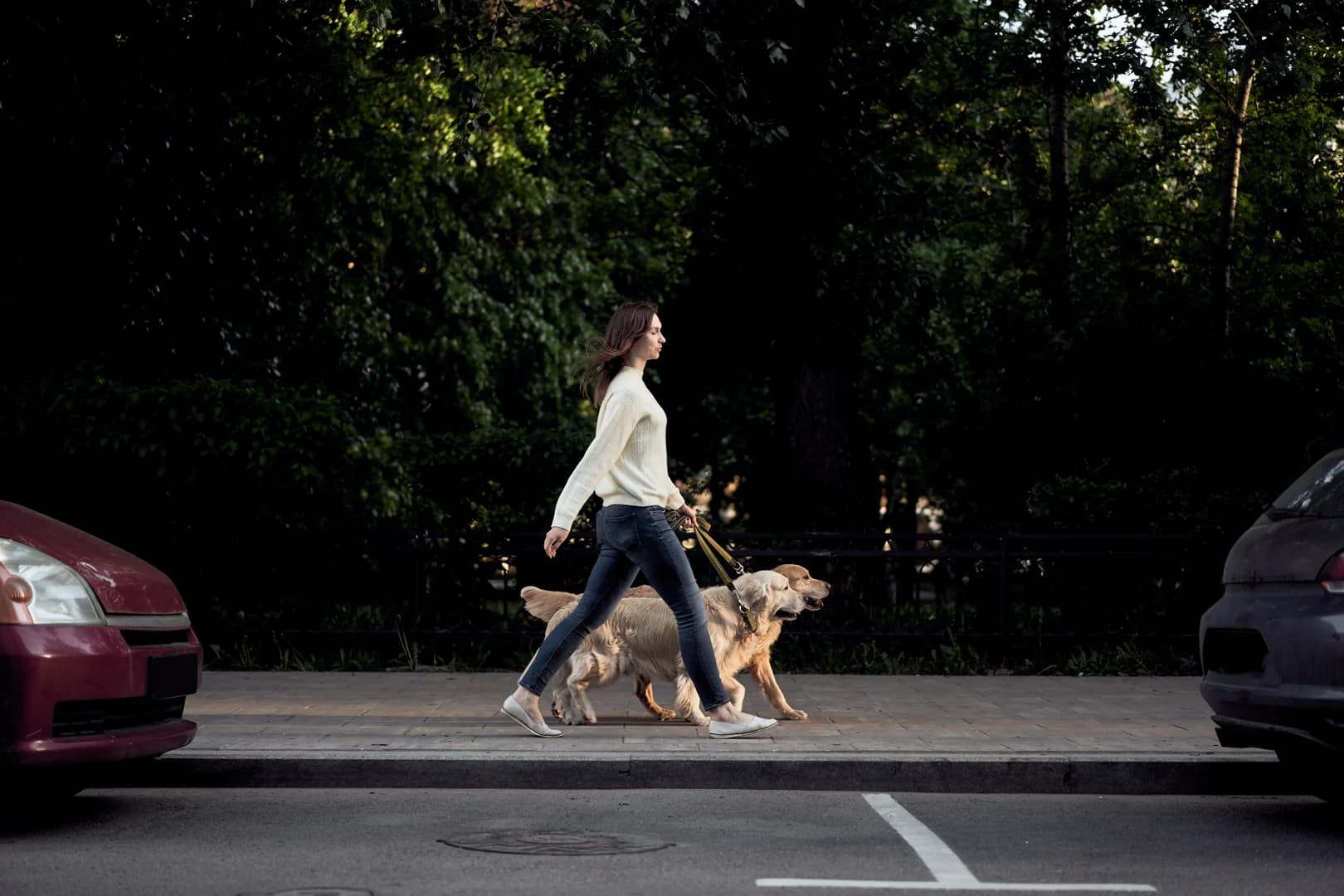 Lady Walking Dogs Along TreeLined Street with Parked Cars