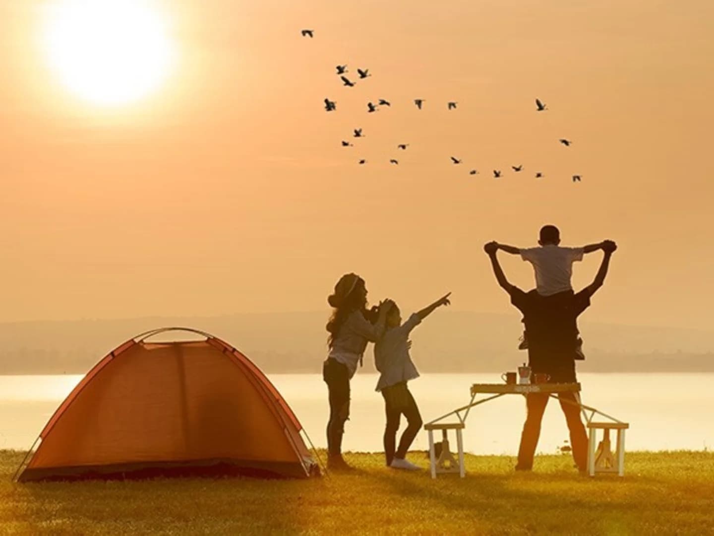 Grayson County TX Sub Module 4