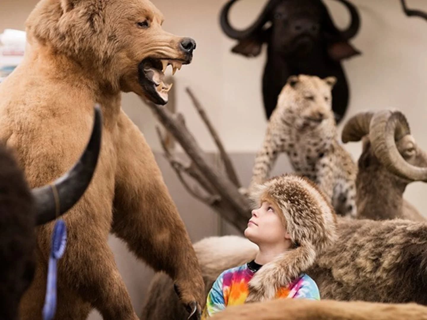 Grayson County TX Sub Module 2