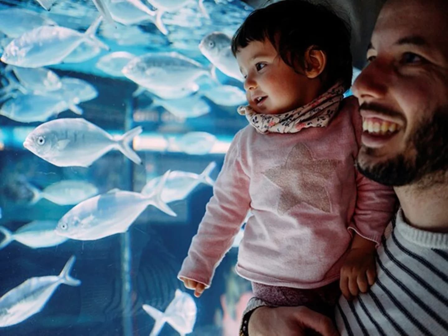 Baltimore County SubMod 2