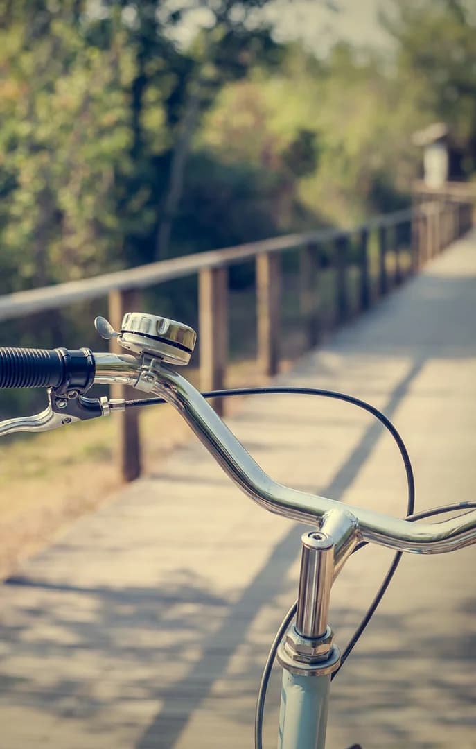 Bike Handlebars Along Woody Path