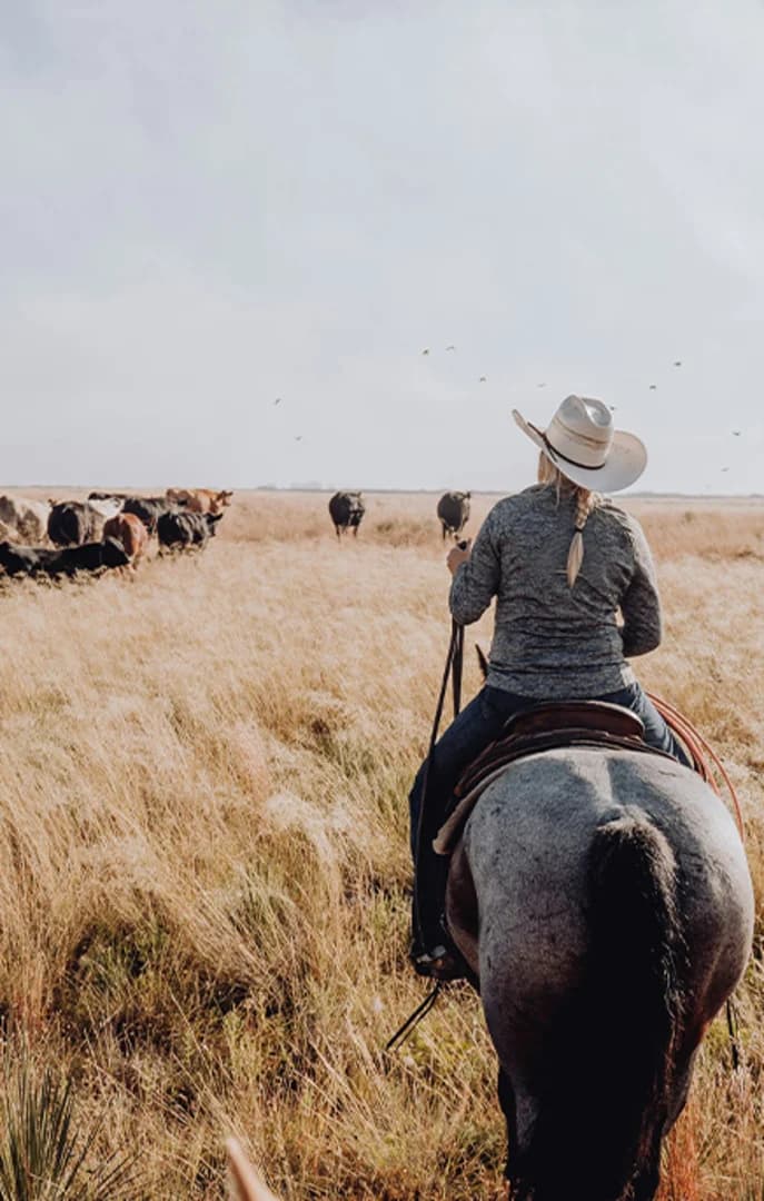 USP 0013 Cowgirl Texas