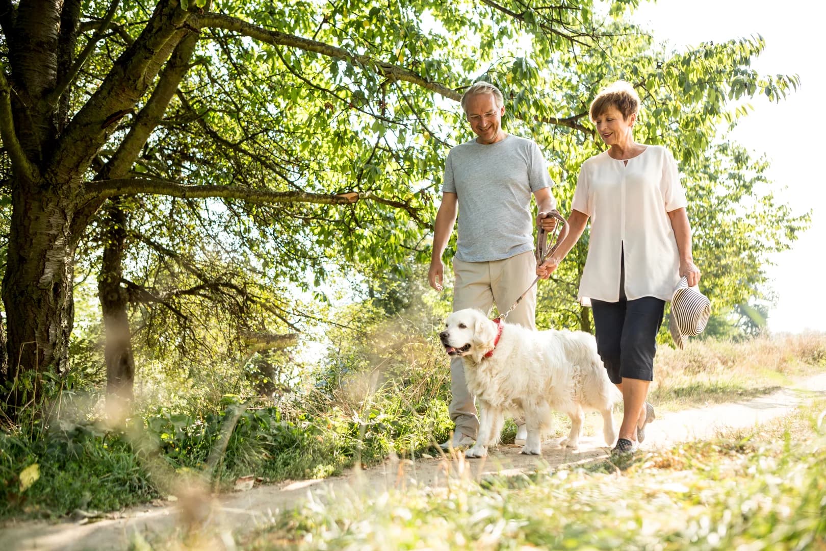 Walking Dog on Trail