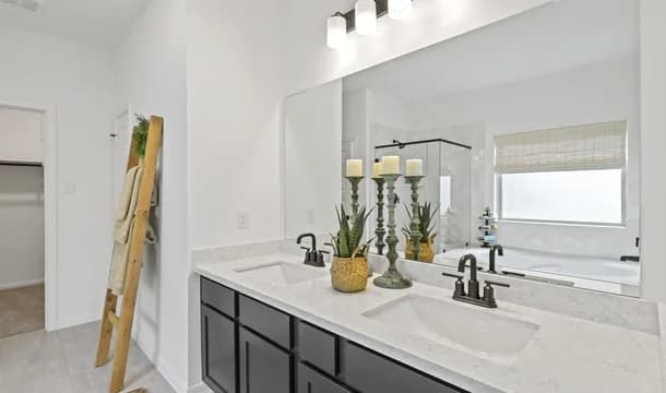 Bluebonnet Village Wilmington II Owners bath