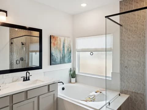 Cloverdale Naples primary luxury bath