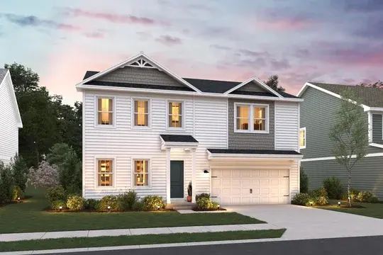 Central Ohio Collection Water Lily Water Lily DA