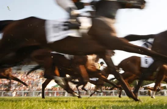 Horse Race Equestrian Track