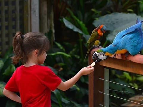 San Joaquin County CA Sub Model 1