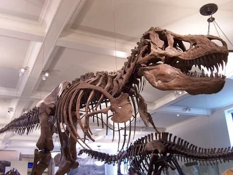 Needville TX sub mod 3EDIT