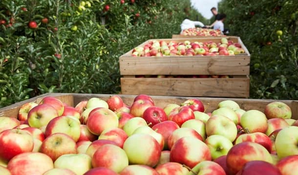 Greater Princeton NJ aspot 2