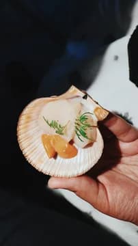 Hand Holding a Scallop Fine Dining Plating