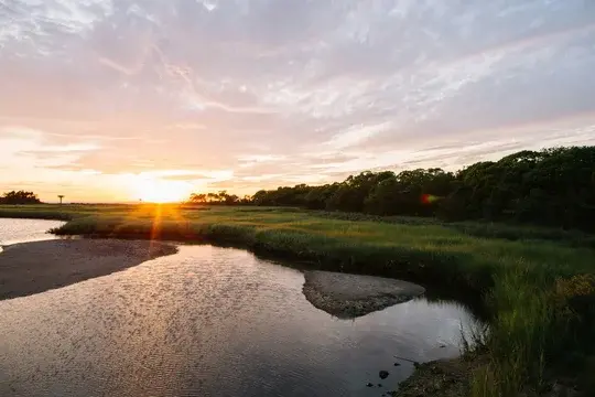East Coast Water Marsh