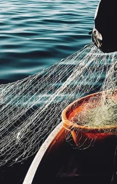 Fishing On the Lake Water Activity