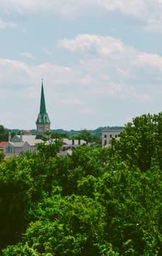 96513 Fredericksburg USP Crop