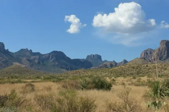 Banner Image Texas Landscape Western
