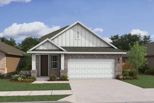 Silver Maple Silver Maple PN Level