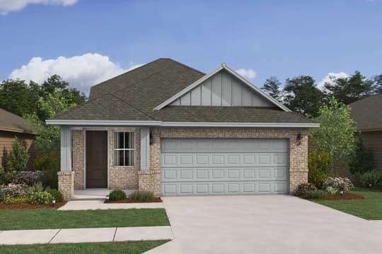 Scotch Pine Scotch Pine PN Level