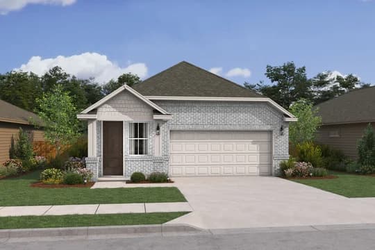 Blueberry Ash Blueberry Ash QN Level