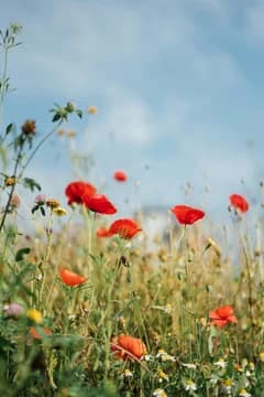 Hero Imagery East Coast Landscape