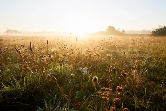 Hero Imagery East Coast Landscape