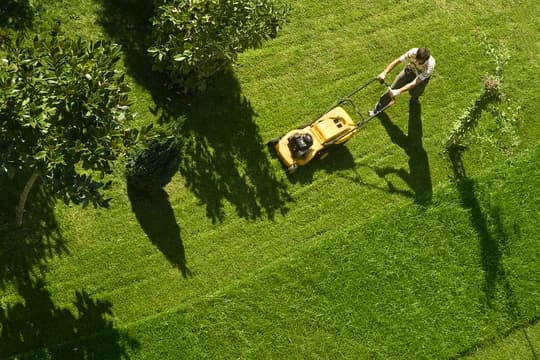 Mowing Grass