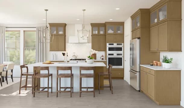 Hampton Kitchen Classic Palette 5 Level 1 Modern Classic