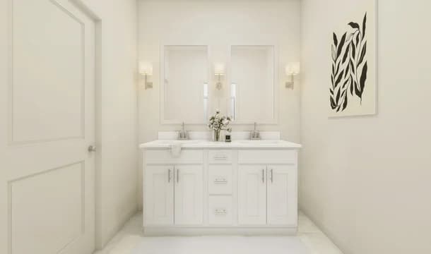 Aspire at Toussaint Springs Forsythia Primary Bath Loft Palette 1 Aspire Black and White Loft