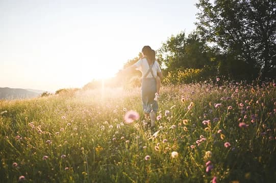 Walking in Wildflowers
