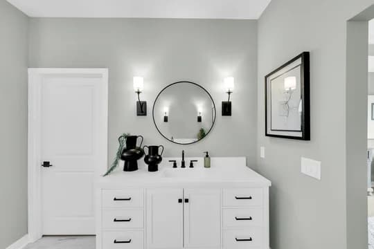 Four Seasons at Lakes of Cane Bay Jenkins II Primary bathroom Farmhouse Palette 5 Level 1