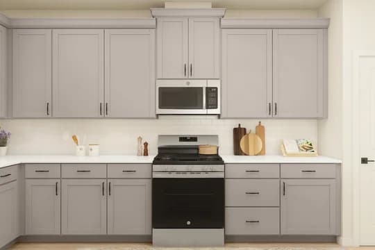 Aspire at Reunion Passionflower II ESP Kitchen Farmhouse Palette 1 Ascend Traditional Farmhouse