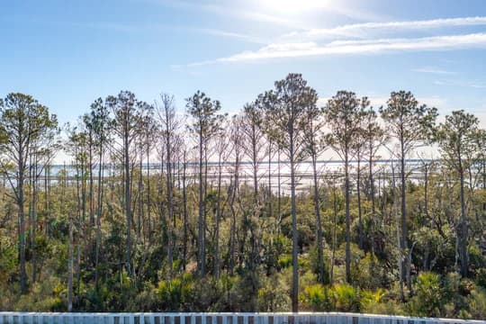 Liberty Hill Farm Aerial view Lot 526