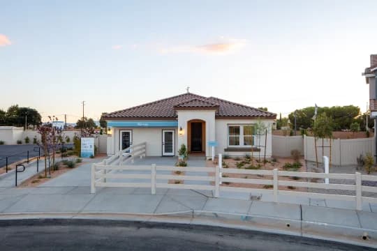 Aspire at Desert Vista Goldenrod Goldenrod