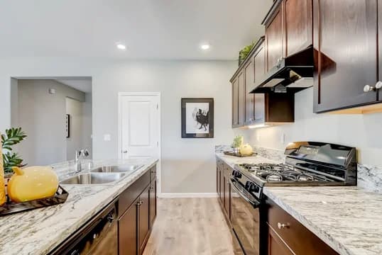5256 Aspire at Sunnyside Paso Fino Kitchen-10