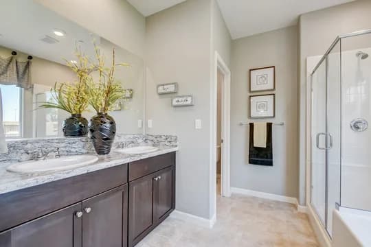 5281 Aspire at Sunnyside Paso Fino Master Bath-1