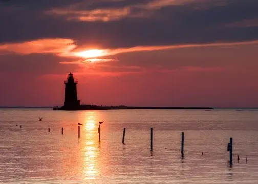 Cape Henlopen State Park