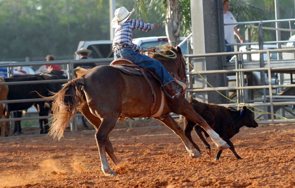 Oakland Rodeo - Make Oakland Your New Home