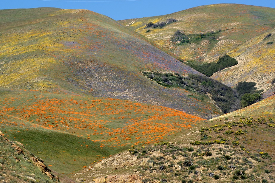 New Construction Homes in Tehachapi California